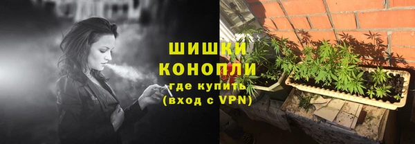 Альфа ПВП Инсар