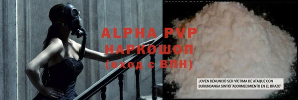 Альфа ПВП Инсар