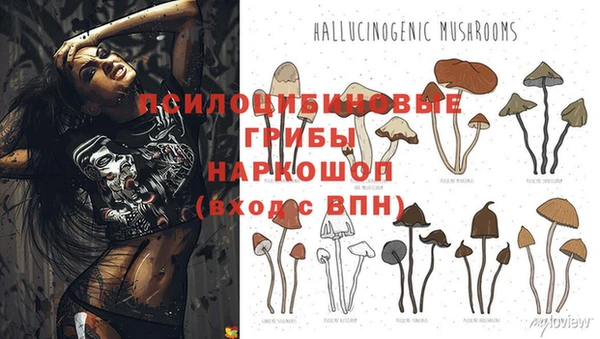 кокаин премиум Иннополис