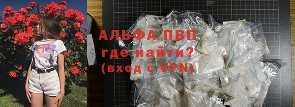 мяу мяу мука Инта
