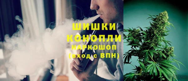 Альфа ПВП Инсар