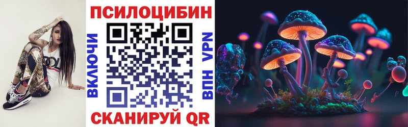 Псилоцибиновые грибы MAGIC MUSHROOMS  Иннополис 